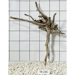 Spiderwood 235