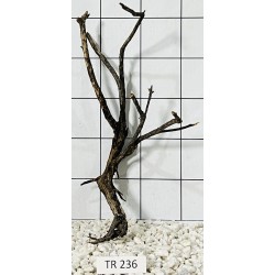 Spiderwood 236
