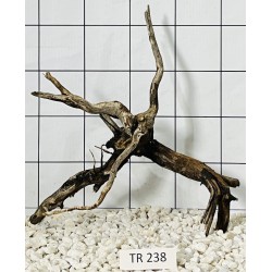 Spiderwood 238