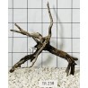 Spiderwood 238