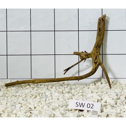 Stump wood 02