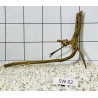 Stump wood 02