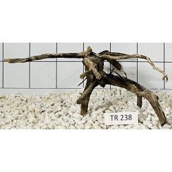 Spiderwood 238