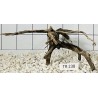 Spiderwood 238