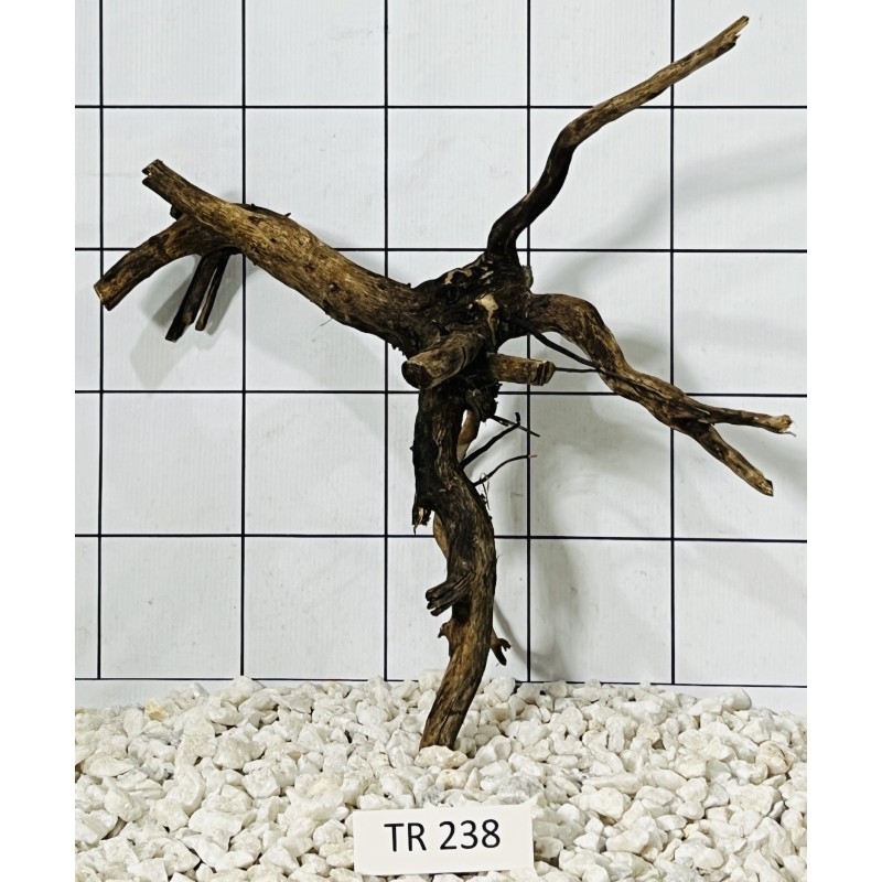 Spiderwood 238
