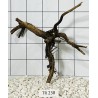 Spiderwood 238