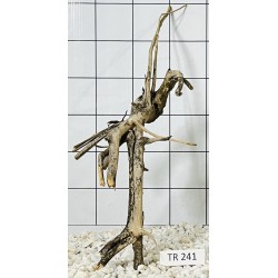 Spiderwood 241