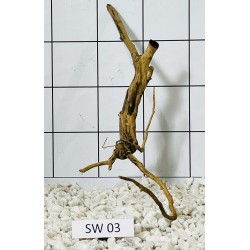 Stump wood 03