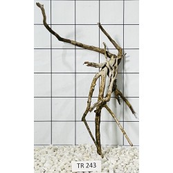 Spiderwood 243