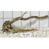 Spiderwood 244