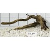 Spiderwood 244