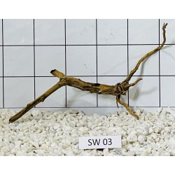 Stump wood 03