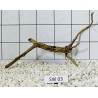 Stump wood 03