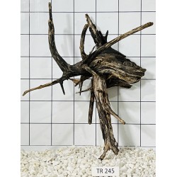 Spiderwood 245