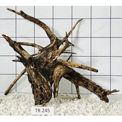 Spiderwood 245