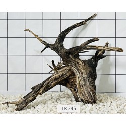 Spiderwood 245