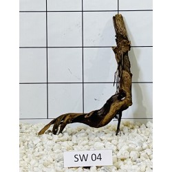 Stump wood 04