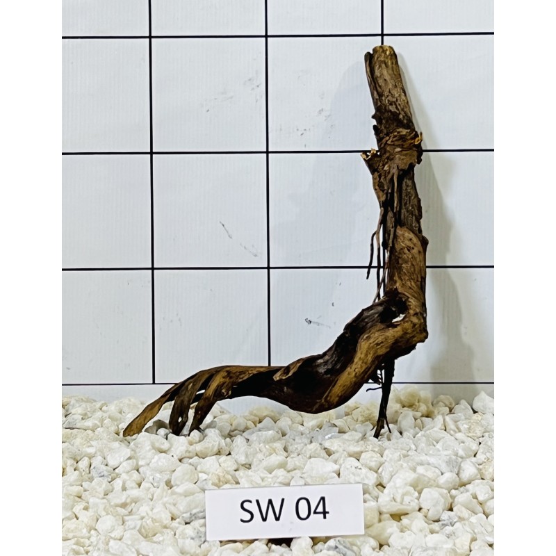 Stump wood 04