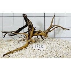 Spiderwood 252