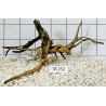 Spiderwood 252