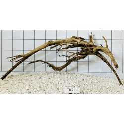 Spiderwood 255