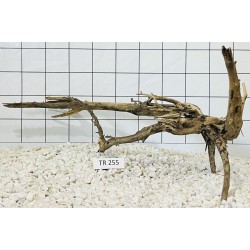 Spiderwood 255