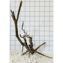 Spiderwood 255