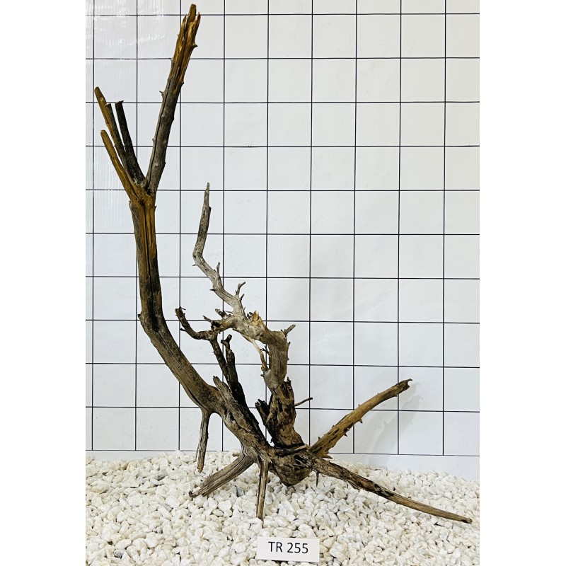 Spiderwood 255