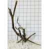 Spiderwood 255