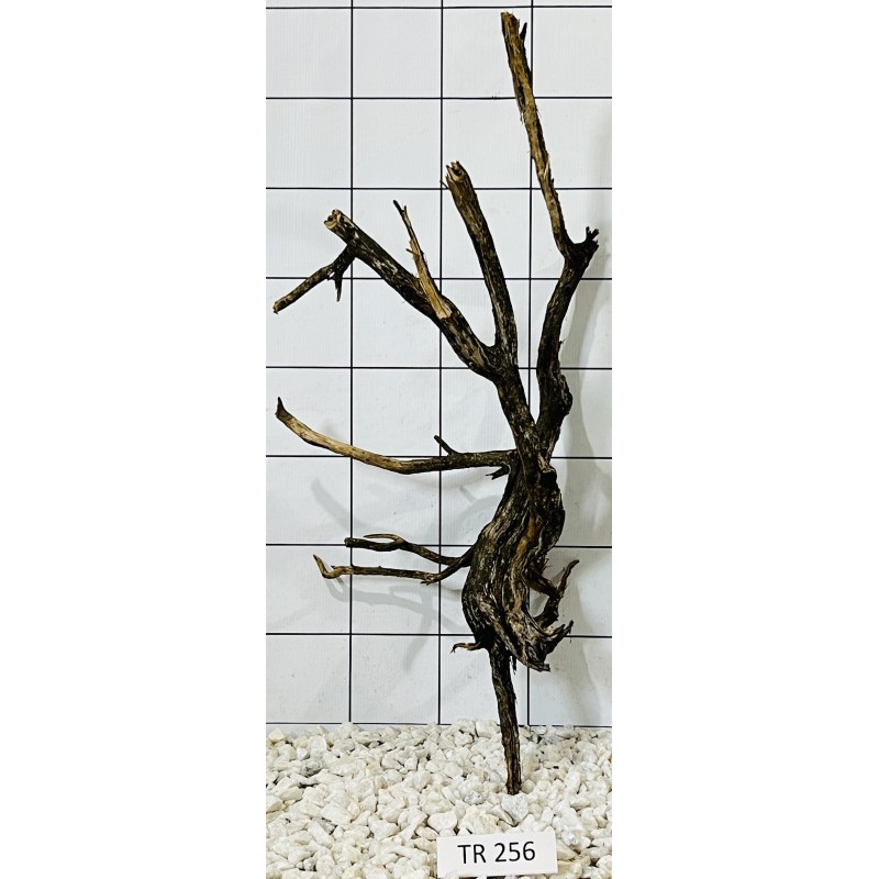 Spiderwood 256