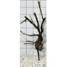 Spiderwood 256
