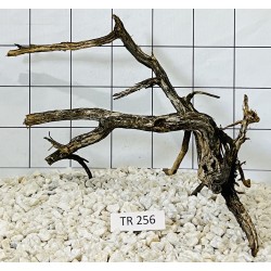 Spiderwood 256