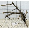 Spiderwood 256