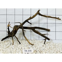 Spiderwood 256