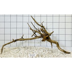 Spiderwood 257