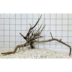 Spiderwood 257