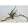 Spiderwood 257