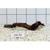 Stump wood 04