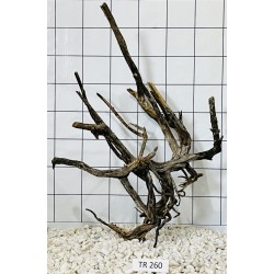 Spiderwood 260