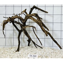 Spiderwood 260