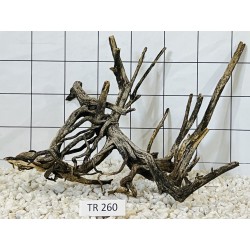 Spiderwood 260