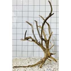 Spiderwood 261