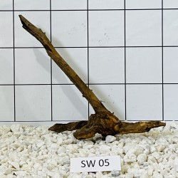 Stump wood 05