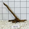 Stump wood 05