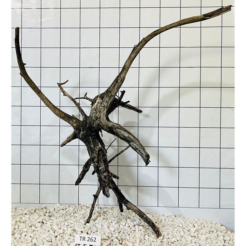 Spiderwood 262