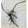 Spiderwood 262