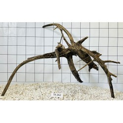 Spiderwood 262