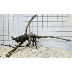Spiderwood 262