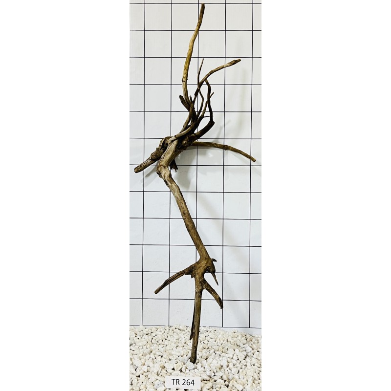Spiderwood 264