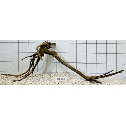 Spiderwood 264